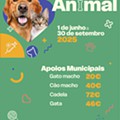 Campanha de Esterilização Animal.jpg